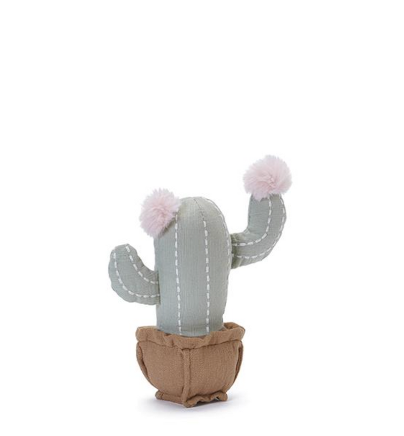 Little Blooming Cactus Rattle